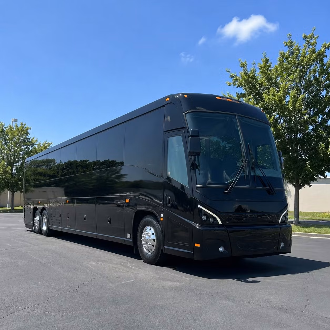 whether you need one bus or an entire fleet college station government transportation is covered